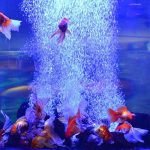 Aquarium Air Stone