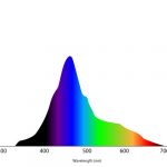 Light Spectrum for Coral Growth